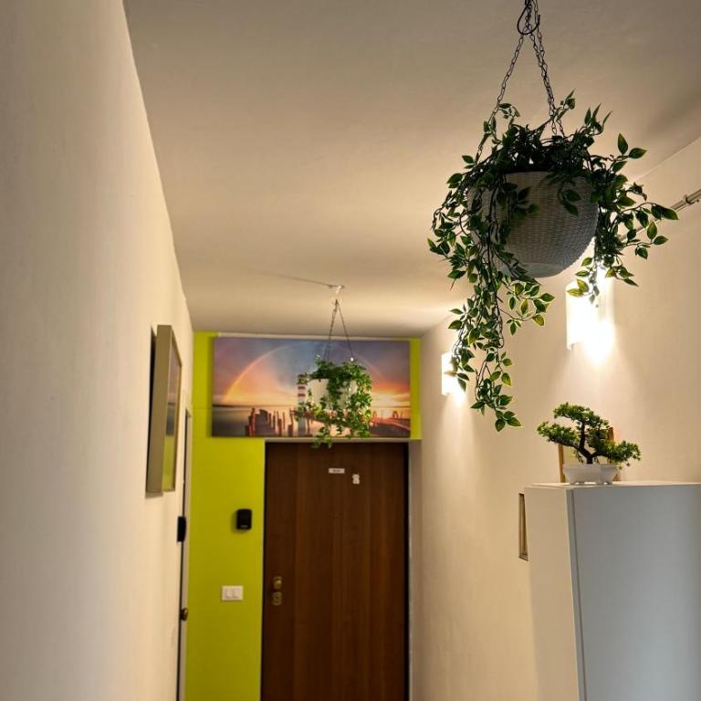 Calle de le Pazienze Apartments - Apartment - Ground Floor - 22
