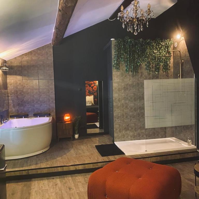 Love room Narbonnaise - Appartement 1 Chambre - 6