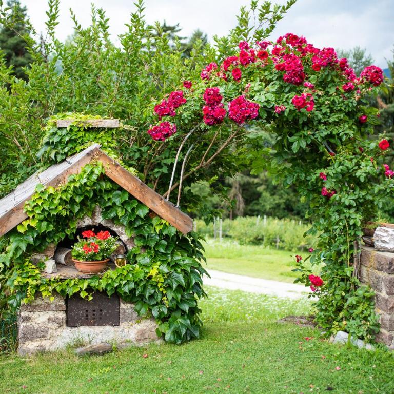 Wieshof - Appartamento con 2 Camere da Letto - 13