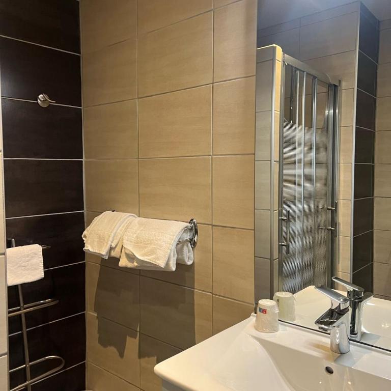 Hôtel Roc de Massabielle - Single Room - 3