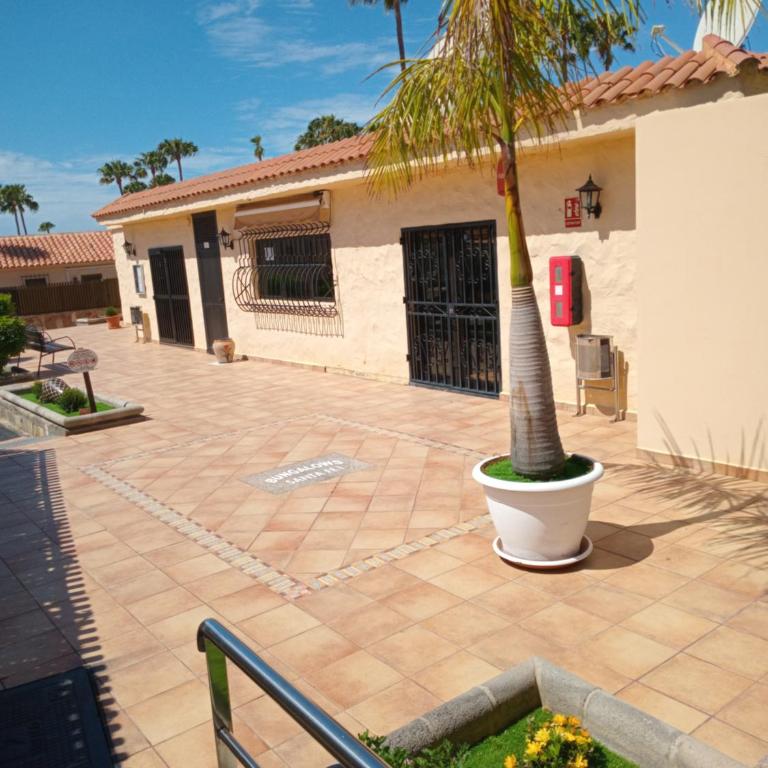 Casita de Gatas OLIA - One-Bedroom House - 33