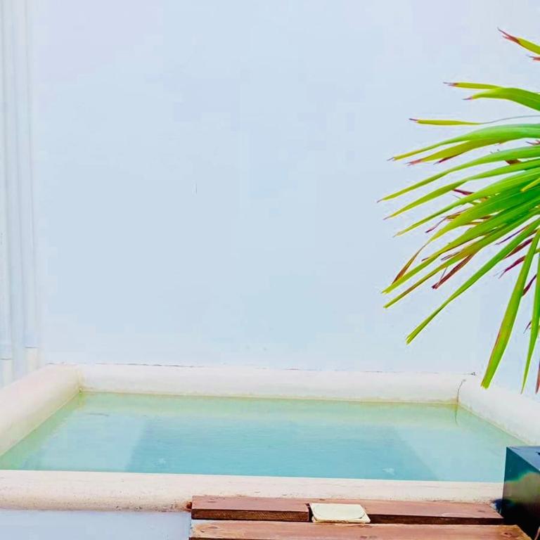 Maravilloso Pent House en 5th Avenida nuevo en plataforma - Two-Bedroom Apartment with Private Pool - 12