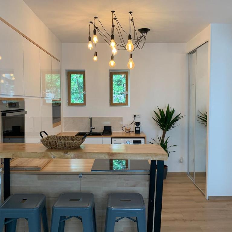 Appt Place Gramont - Appartement 1 Chambre - 1