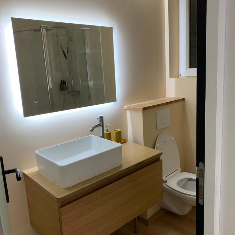 Appt Place Gramont - Appartement 1 Chambre - 9