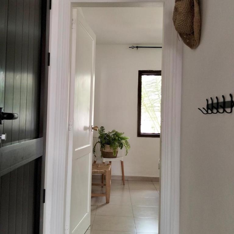 Buena Pace - Lovely apartment in Corralejo - One-Bedroom Apartment - 32