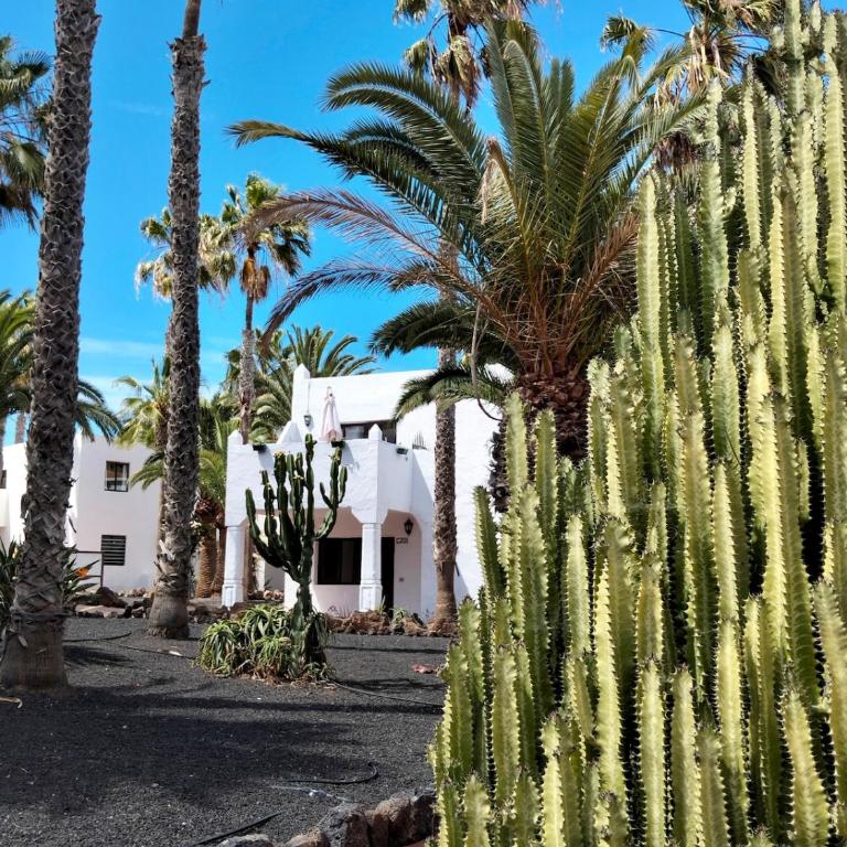 Buena Pace - Lovely apartment in Corralejo - One-Bedroom Apartment - 27