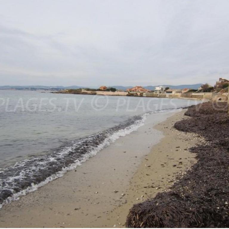 Petit havre du Brusc de 80 M2 - Two-Bedroom House - 8