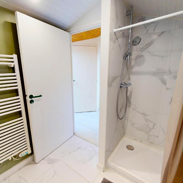 AIRIAL - Grand Appartement de standing en centre-ville - Appartement - 14