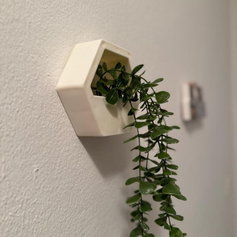 Apartment Melograno - Old Town - One-Bedroom Apartment - 11