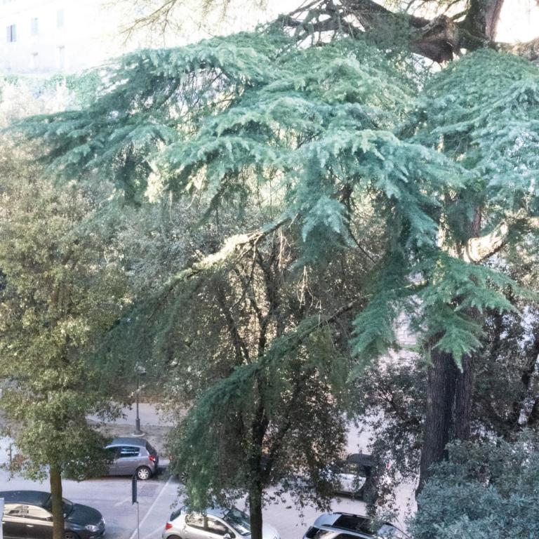 Prestige and comfort in the center of Perugia and views - Appartamento con 2 Camere da Letto - 54