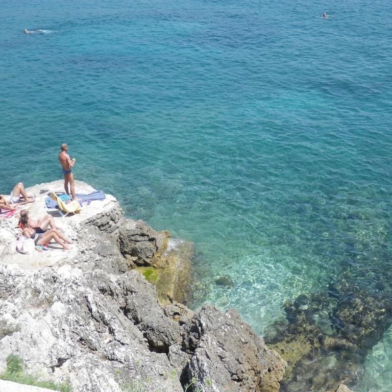 les pieds dans l'eau - Appartement 1 Chambre - Vue sur Mer - 23