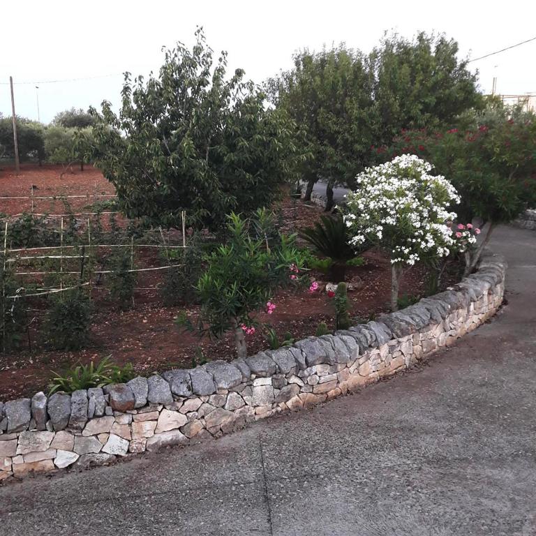 Trulli Mari in Valle d'Itria - Vacation Home - 57