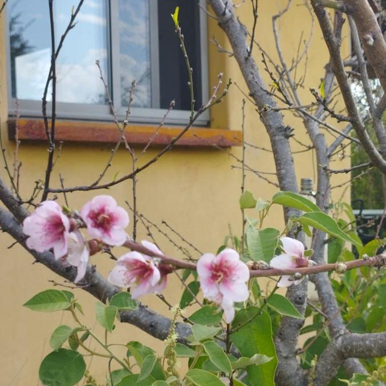 El churqui - Chalet de 1 dormitorio - 9