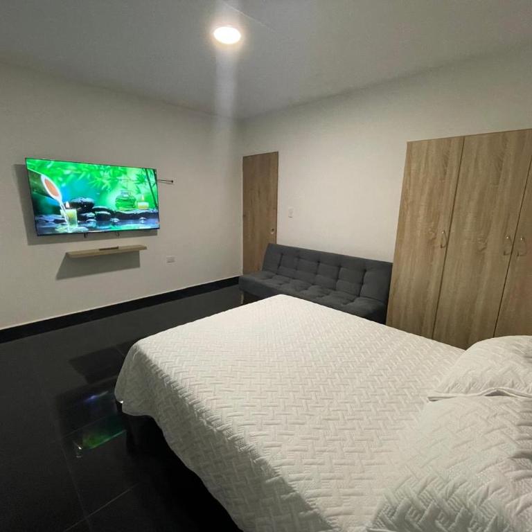 Apartaestudio en pueblo mágico - Apartamento de 1 dormitorio - 2