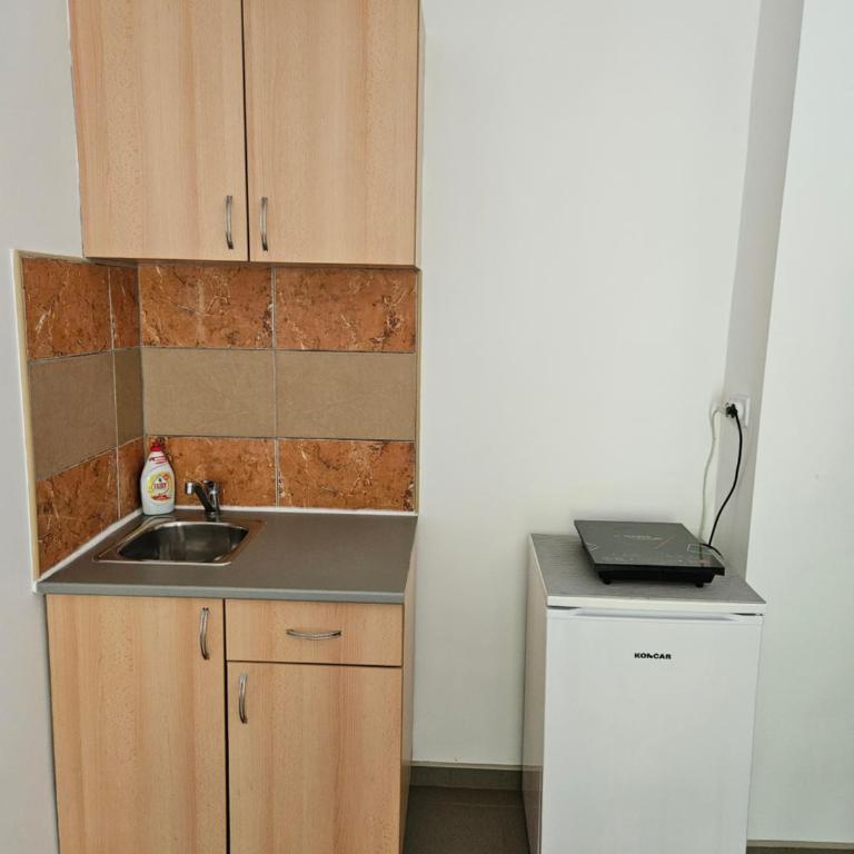 Vila Jenic - Studio sa Balkonom - 4