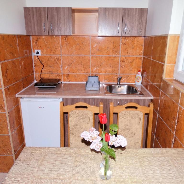 Vila Jenic - Studio sa Balkonom - 6