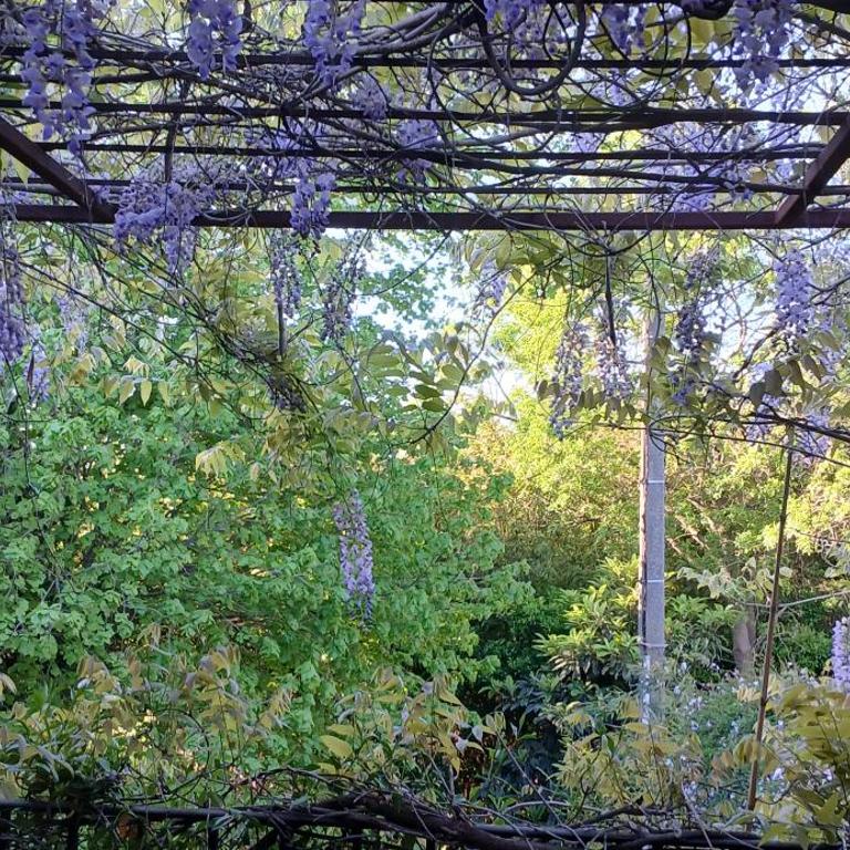 MAS DU MOULIN Chambre d'hôte Vaccarès - Chambre Double - Vue sur Jardin - 9