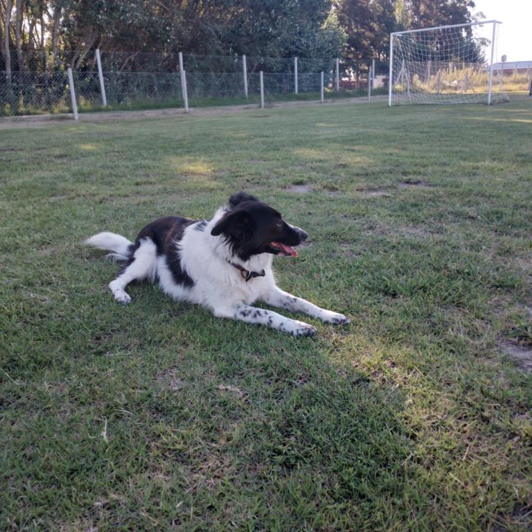 Quintas del Monte - Two-Bedroom House - 14