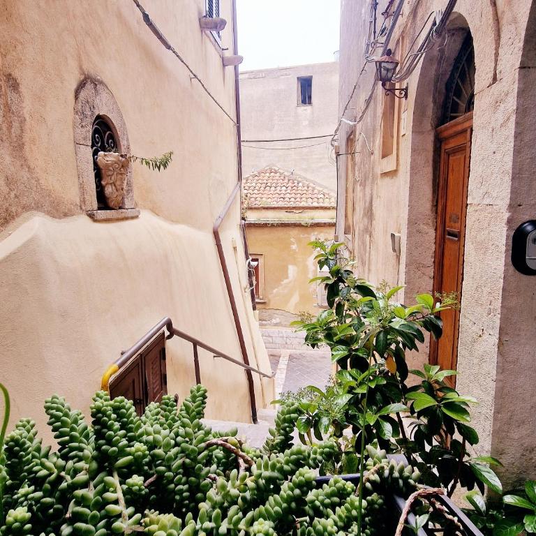 Donna Rosa - Main Avenue - One-Bedroom House - 26