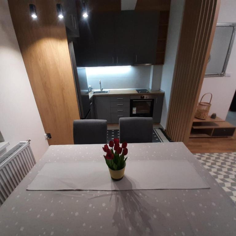 Apartman Beograd Mir i Komfor - Apartman sa 2 Spavaće Sobe - 9