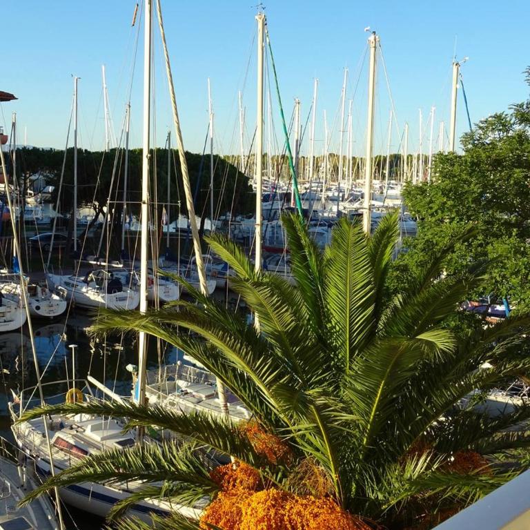 Appartement vue sur port avec parking et animaux admis - FR-1-833-6 - Apartamento - 7