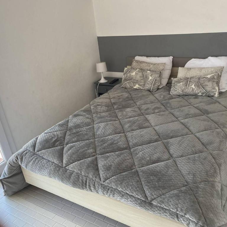 Magnifique T3 Climatisé avec Parking Canet-en-Roussillon - FR-1-833-10 - Appartement - 4