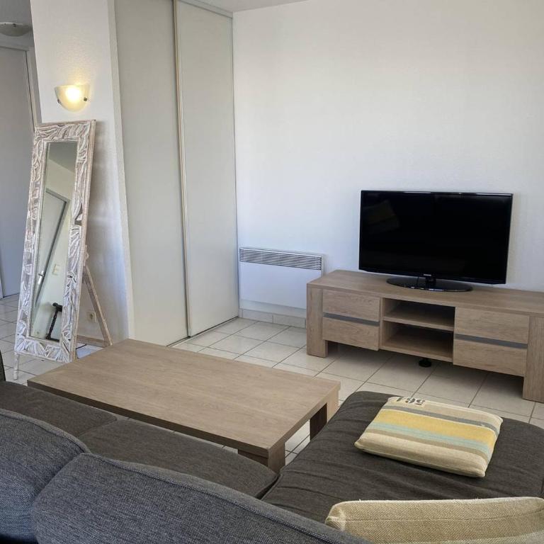 Grand appartement 3 pièces avec terrasse et parking à Canet-en-Roussillon - FR-1-833-27 - Apartment - 18