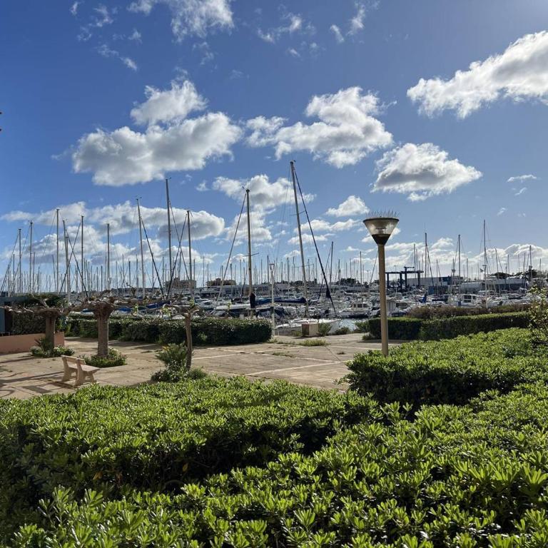 Appartement 2 pièces avec Parking - 4 personnes, Port Leucate - FR-1-81-637 - Apartment - 10