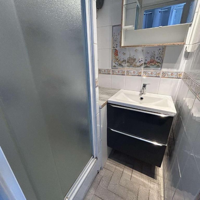 Appartement 2 pièces au Grau-du-Roi avec piscine et parking - FR-1-250-304 - Apartment - 10