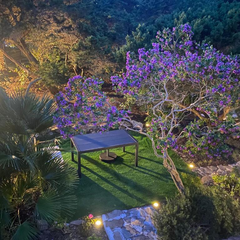 Casa con giardino, Wi-Fi e aria condizionata vicino alla Pelosa - Appartamento con 2 Camere da Letto e Vista Mare - 33
