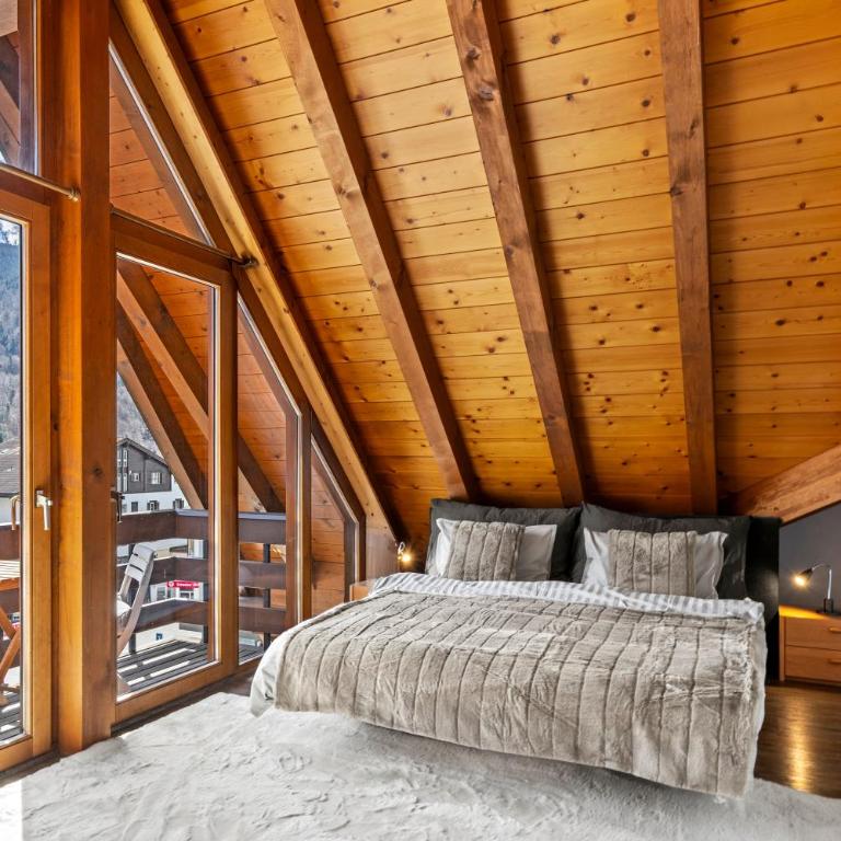 A&Y Penthouse Engelberg - Apartamento de 2 dormitorios - 14