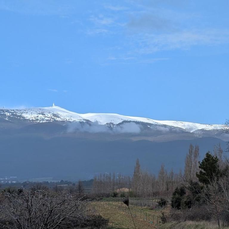 La Carriera, petite maison Provençale sud Ventoux, climatisée - Maison 2 Chambres - 23