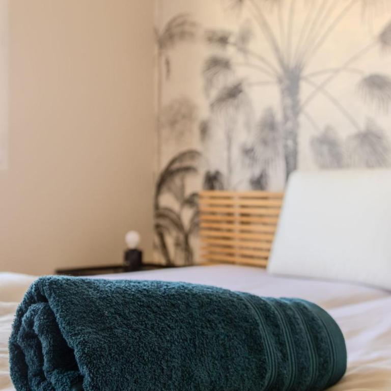 Juan les Pins appartement Rooftop, 2 chambres avec parking - Appartement 2 Chambres - 7