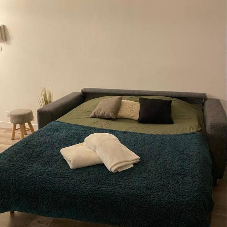 Nice Chateauneuf, studio rénové avec emplacement central - Appartement 1 Chambre - 2