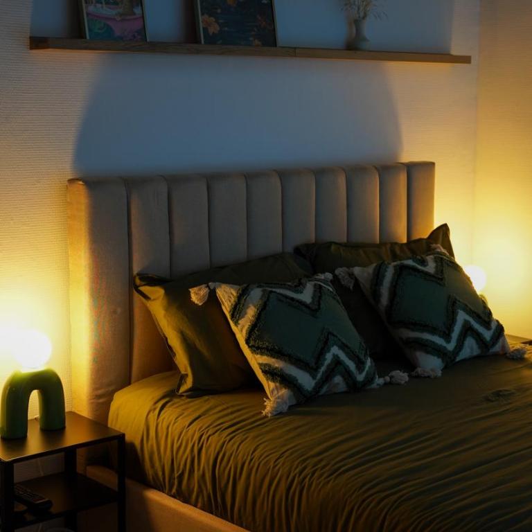 Tropical Jungle-Clim-wifi-Allée Paul Riquet - Deluxe Apartment mit 1 Schlafzimmer - 8