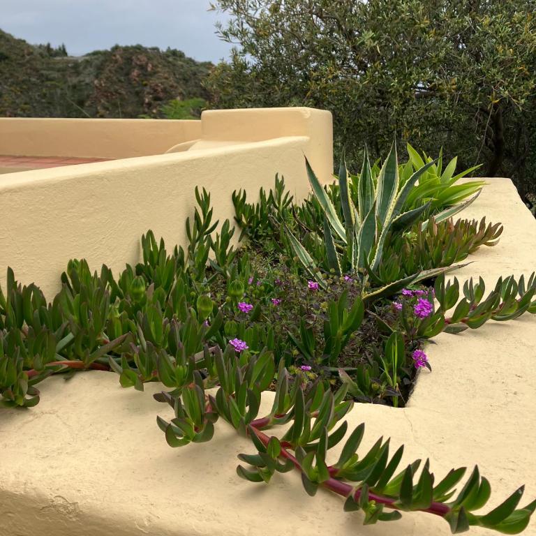 Casa Bacco, Capistello - Two-Bedroom Villa - 39
