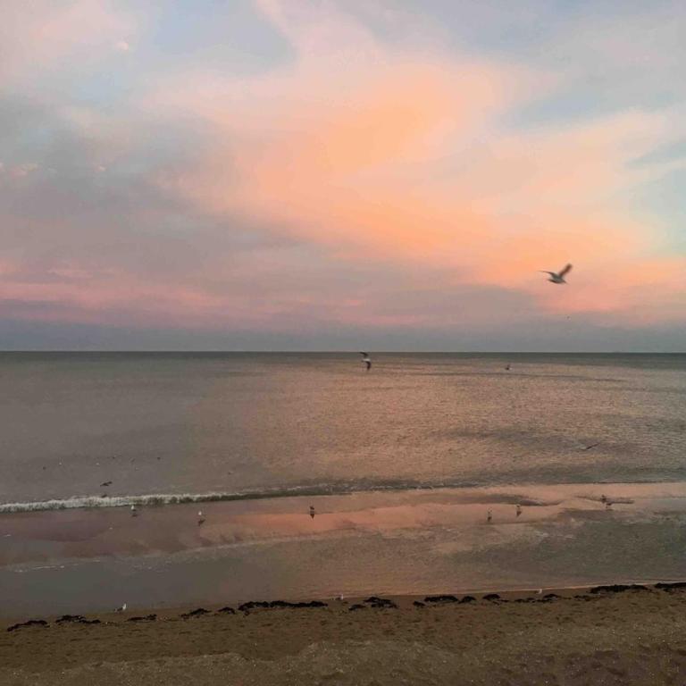 Appartement, Cabourg Plage, Centre ville - Aquilon - Appartement 1 Chambre - 14