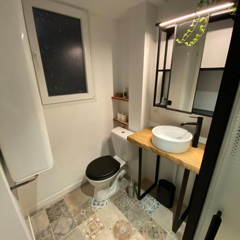 Paisible Studio Climatisé avec jardin Bassin Arcachon - Appartement 1 Chambre - 12