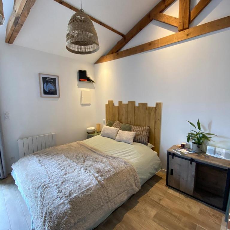Paisible Studio Climatisé avec jardin Bassin Arcachon - Appartement 1 Chambre - 2