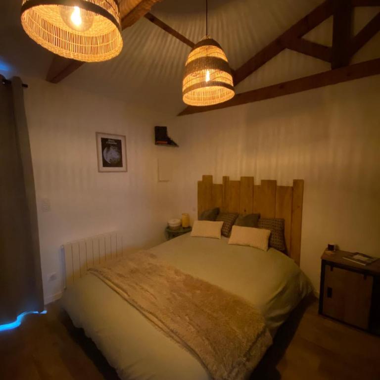 Paisible Studio Climatisé avec jardin Bassin Arcachon - Appartement 1 Chambre - 27