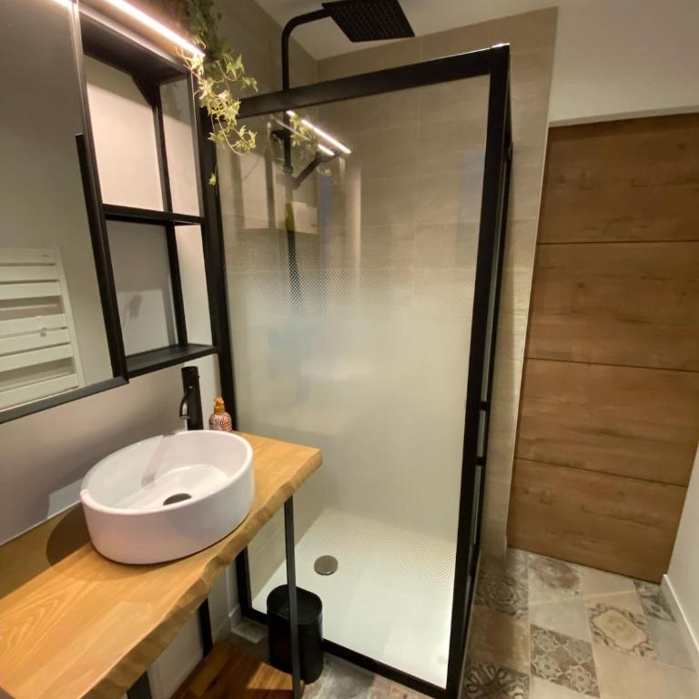 Paisible Studio Climatisé avec jardin Bassin Arcachon - Appartement 1 Chambre - 31