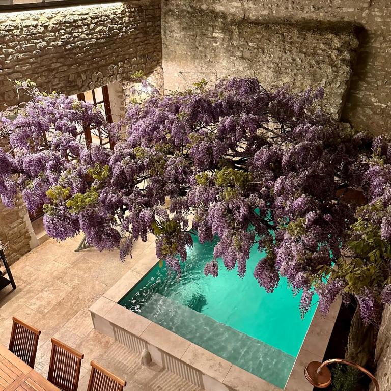 Exceptionnel - Couvent entièrement rénové - classé Patrimoine - Piscine, au calme et à 100 m du coeur de l'Isle - Villa avec Piscine Privée - 44