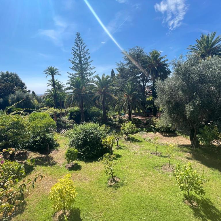 Appartement Ombragé 44m2 Riviera Palace Belle-Epoque, Restomod et Literie Prestige - Apartamento de 2 dormitorios - 98
