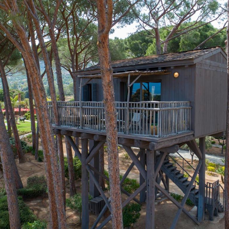 La Signoria & Spa - Cabane dans les Arbres - 6
