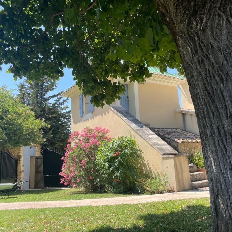 Mas La Magnanerie du Ventoux - Villa - 37