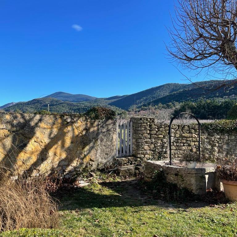 Mas La Magnanerie du Ventoux - Villa - 38