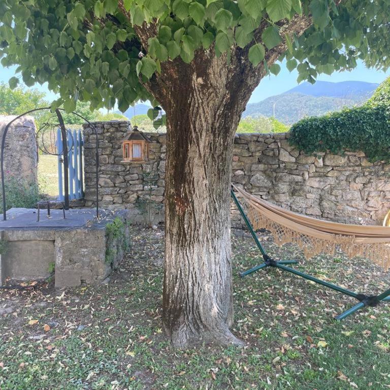 Mas La Magnanerie du Ventoux - Villa - 39
