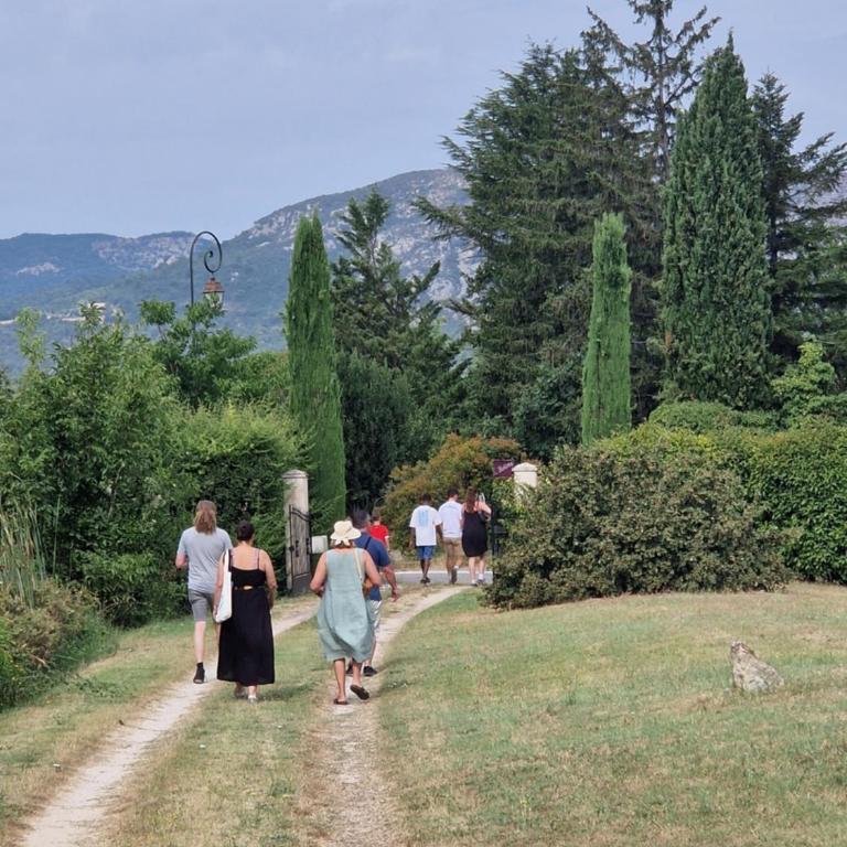 Mas La Magnanerie du Ventoux - Villa - 29