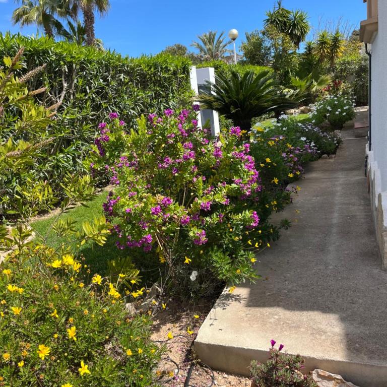 Villa Clara, 8 pers, JAVEA, Costa Blanca, closes to beaches - Villa - 15