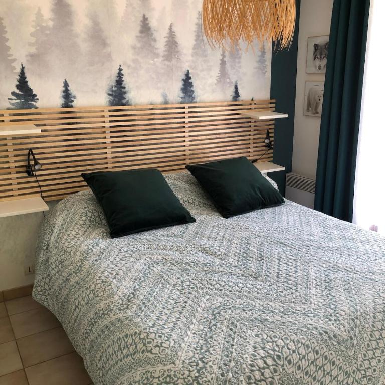 Beautiful apartment in independent chalet, facing mythical Col du Galibier - Apartment mit 2 Schlafzimmern - 17